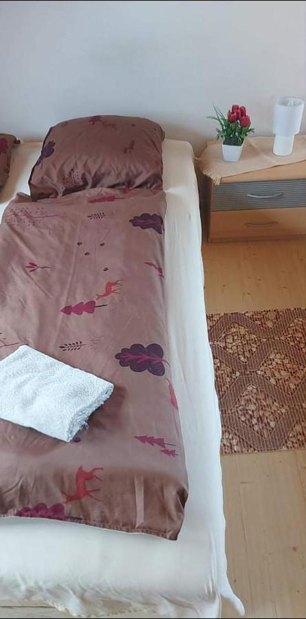 Badacsonyi Pihenes Privat Berlemeny Hotel Badacsonytomaj Bagian luar foto